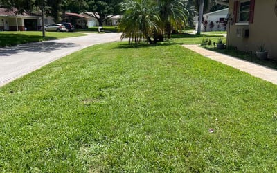 Photo of Janice J.'s yard after getting lawn care in Seminole, FL