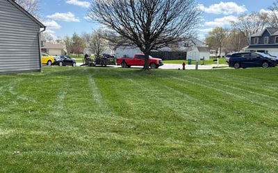 Photo of LouAnne b.'s yard after getting lawn care in Ocean City, NJ