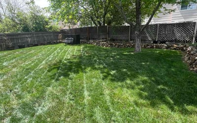 Photo of Angel S.'s yard after getting lawn care in Florissant, MO