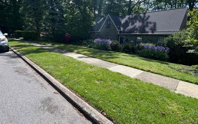 Photo of Devante J.'s yard after getting lawn care in Drexel Hill, PA