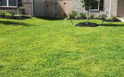 Photo of Alicia C.'s yard after getting lawn care in Hull, MA