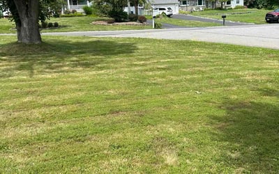 Photo of Shauna Y.'s yard after getting lawn care in Warren, NJ