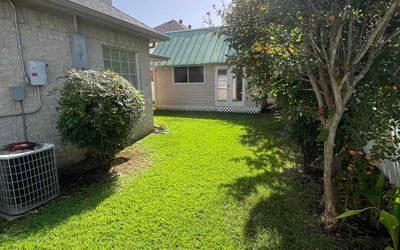 Photo of Ray T.'s yard after getting lawn care in Porterville, CA