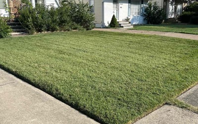 Photo of Dion D.'s yard after getting lawn care in Euclid, OH