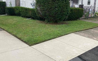 Photo of Jesse W.'s yard after getting lawn care in Carbondale, PA