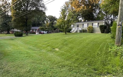 Photo of Amanda F.'s yard after getting lawn care in Thomasville, NC