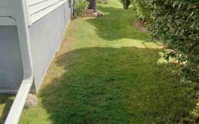 Photo of Amanda K.'s yard after getting lawn care in Utica, NY