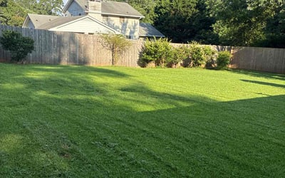 Photo of Linda T.'s yard after getting lawn care in Mission Hills, CA