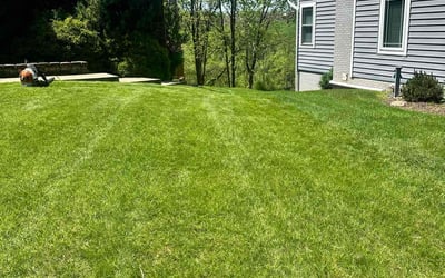 Photo of Omer K.'s yard after getting lawn care in Monroeville, PA
