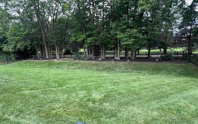 Photo of Pamela W.'s yard after getting lawn care in Camby, IN