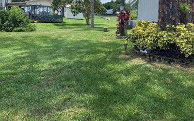 Photo of Todd C.'s yard after getting lawn care in Tavares, FL