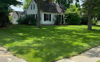 Photo of Rick R.'s yard after getting lawn care in Harrison, OH