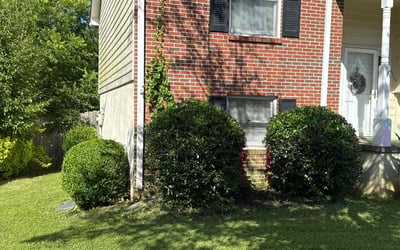Photo of Andrew H.'s yard after getting lawn care in Catonsville, MD