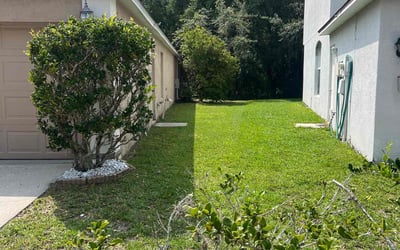 Photo of Vanessa D.'s yard after getting lawn care in Union, NJ