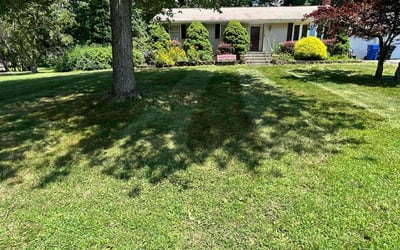 Photo of Jason G.'s yard after getting lawn care in South Windsor, CT