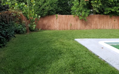 Photo of Peter G.'s yard after getting lawn care in Mims, FL
