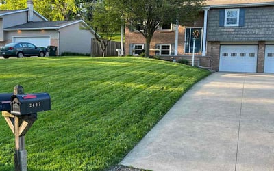 Photo of Ivy C.'s yard after getting lawn care in Alliance, OH