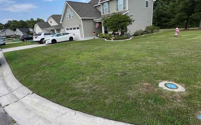 Photo of Vera I.'s yard after getting lawn care in Marrero, LA
