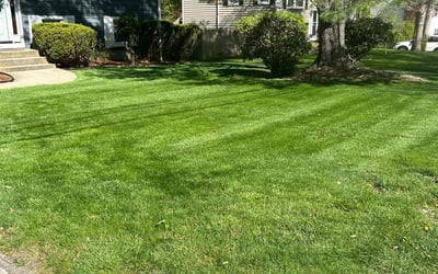 Photo of Scott R.'s yard after getting lawn care in West Warwick, RI