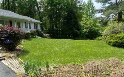 Photo of Court P.'s yard after getting lawn care in Manassas, VA