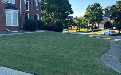 Photo of Jill P.'s yard after getting lawn care in Saint Albans, NY