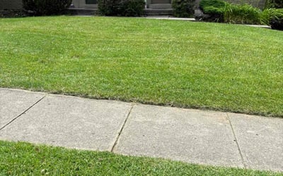 Photo of Rose C.'s yard after getting lawn care in West Chester, OH