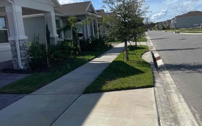Photo of Sophia G.'s yard after getting lawn care in DeBary, FL