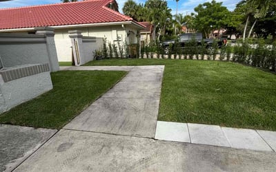 Photo of Carol B.'s yard after getting lawn care in Sicklerville, NJ