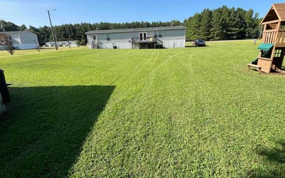 Photo of Taylor K.'s yard after getting lawn care in Rocky Mount, NC
