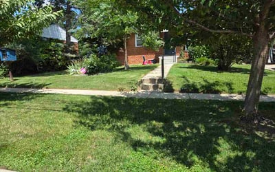 Photo of Tamique D.'s yard after getting lawn care in Millville, NJ
