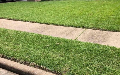 Photo of Hargrow P.'s yard after getting lawn care in Baldwin, NY