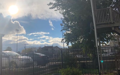 Photo of Jason M.'s yard after getting tree care in Cary, NC