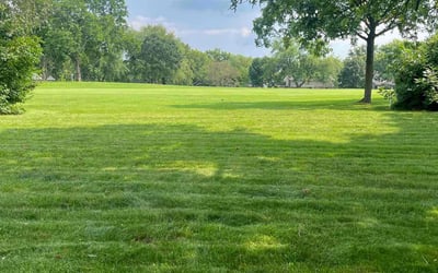 Photo of James J.'s yard after getting lawn care in Naperville, IL