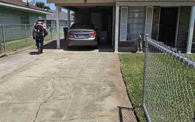 Photo of Cathie S.'s yard after getting lawn care in Kingsburg, CA