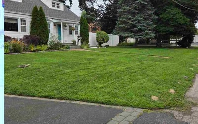 Photo of Joseph P.'s yard after getting lawn care in Goose Creek, SC