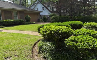 Photo of Bradley E.'s yard after getting lawn care in Jackson, MS