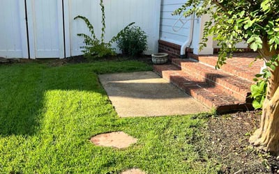 Photo of Andrea B.'s yard after getting lawn care in Collierville, TN