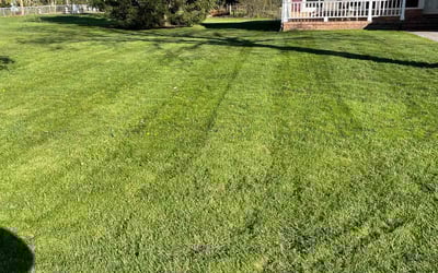 Photo of Simeon H.'s yard after getting lawn care in Highland, MI