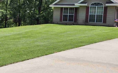 Photo of Kim J.'s yard after getting lawn care in Jackson, NJ