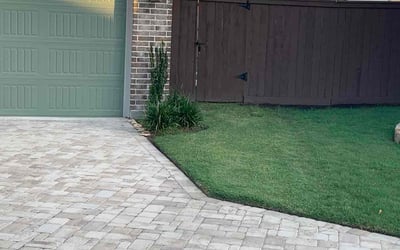 Photo of Jeremy P.'s yard after getting lawn care in Alamo, TX