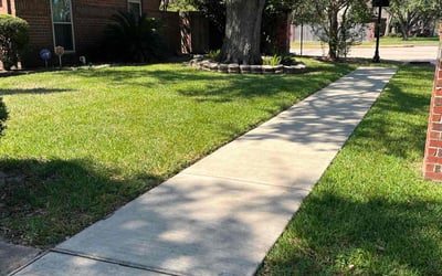 Photo of Mark D.'s yard after getting lawn care in Pasadena, TX
