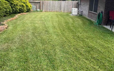 Photo of Corey P.'s yard after getting lawn care in Kingwood, TX