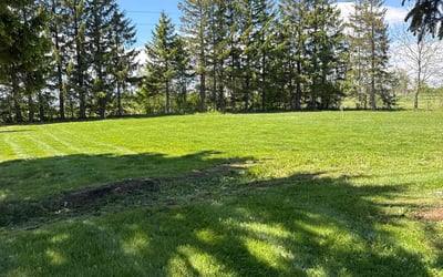 Photo of William G.'s yard after getting lawn care in Beaumont, TX