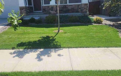 Photo of Shanea J.'s yard after getting lawn care in Greeley, CO