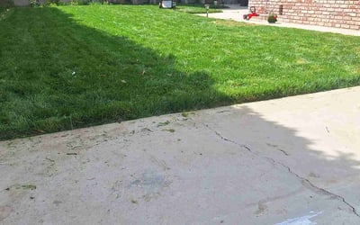Photo of Anthony M.'s yard after getting lawn care in Canoga Park, CA