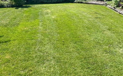Photo of Bridget S.'s yard after getting lawn care in Burbank, IL