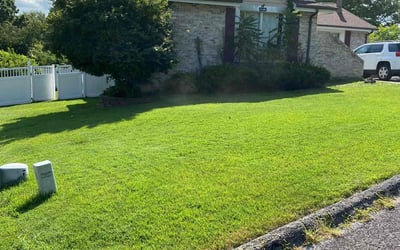 Photo of Traci K.'s yard after getting lawn care in Imperial, MO