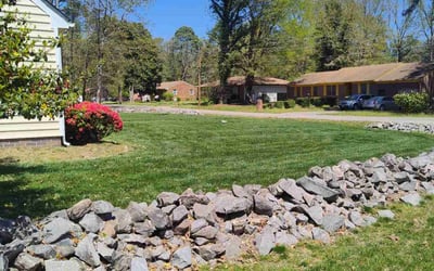 Photo of Mariana F.'s yard after getting lawn care in Petersburg, VA