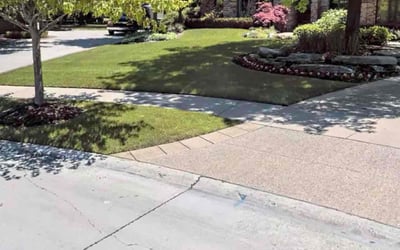 Photo of Ivette F.'s yard after getting lawn care in Manchester, CT