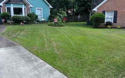 Photo of Christina A.'s yard after getting lawn care in Jasper, GA